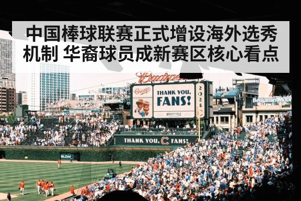 中国棒球联赛正式增设海外选秀机制 华裔球员成新赛区核心看点